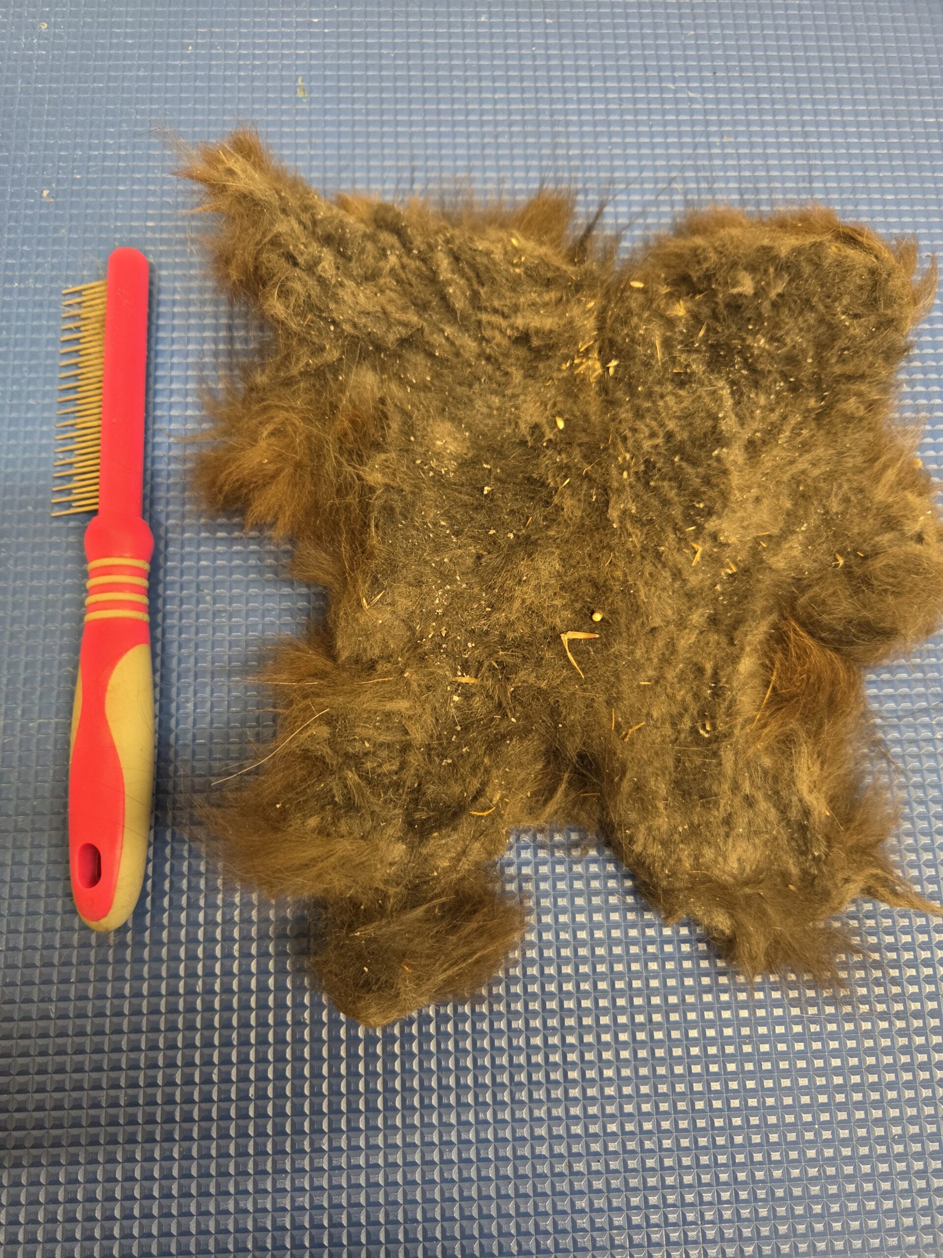 The underside of the same matt, felted solid with grass seeds and grit trapped in it